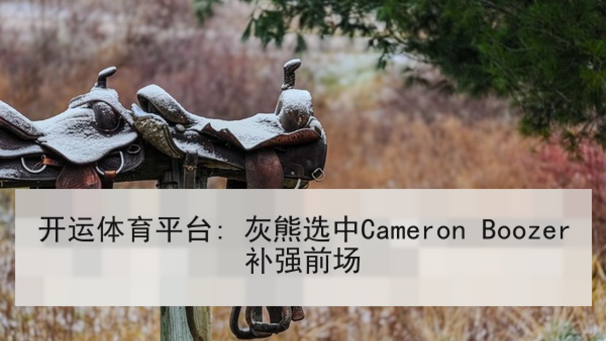 开运体育平台: 灰熊选中Cameron Boozer补强前场