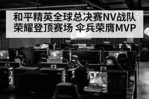 和平精英全球总决赛NV战队荣耀登顶赛场 伞兵荣膺MVP