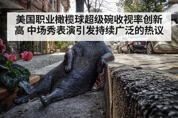 美国职业橄榄球超级碗收视率创新高 中场秀表演引发持续广泛的热议