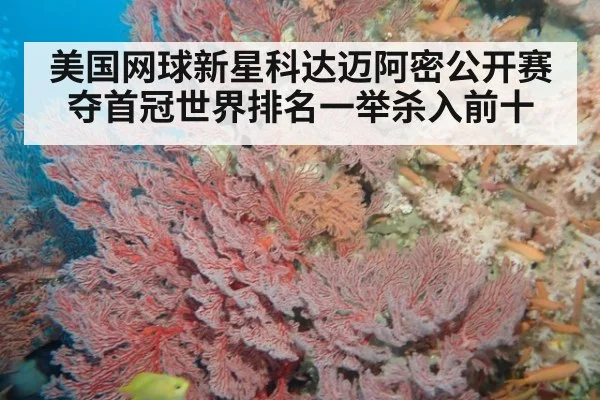 美国网球新星科达迈阿密公开赛夺首冠世界排名一举杀入前十